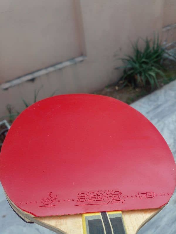 Custom bat for table tennis 2