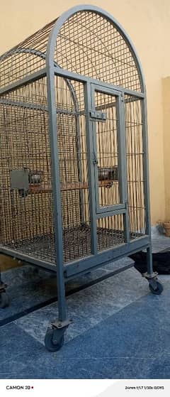 cockatoo usd cage for sale