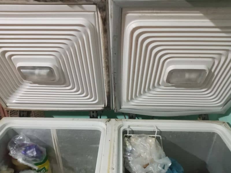 Good condition fridge and deep freezer 3