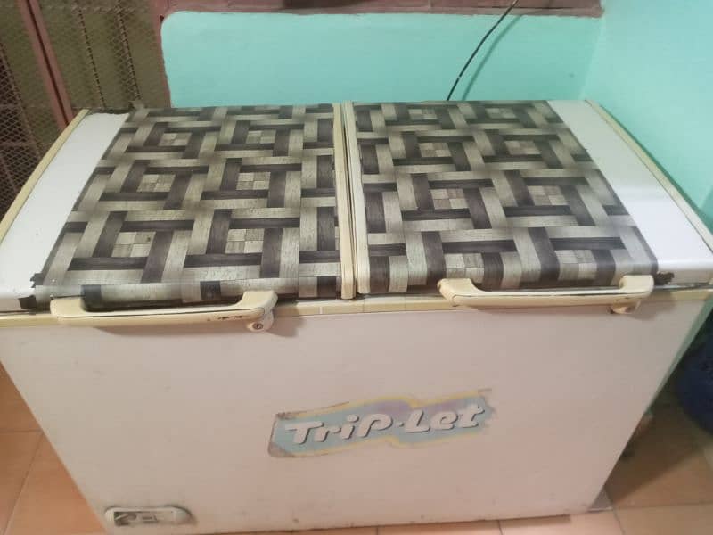 Good condition fridge and deep freezer 4