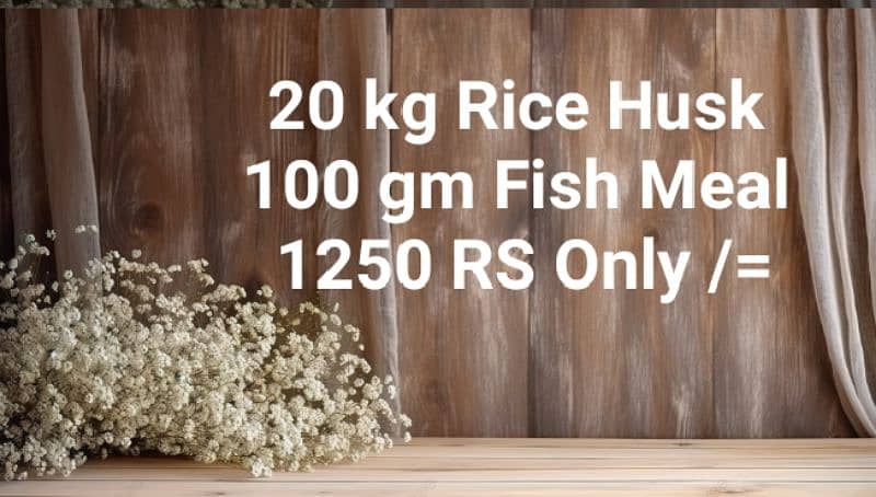 rice Husk Chawal ka Chilka  rice husk ash 2