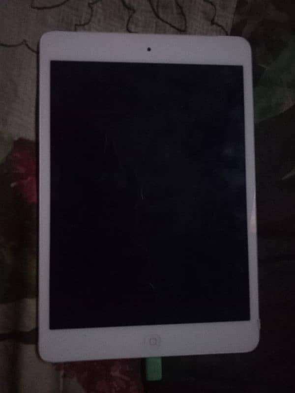 apple iPad mini2 1