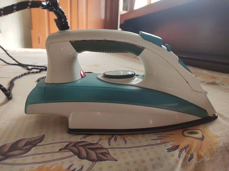 Steam iron 1