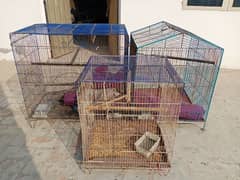 cages for birds in good condition.