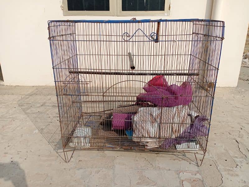 cages for birds in good condition. 1