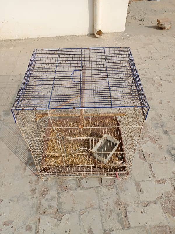 cages for birds in good condition. 3