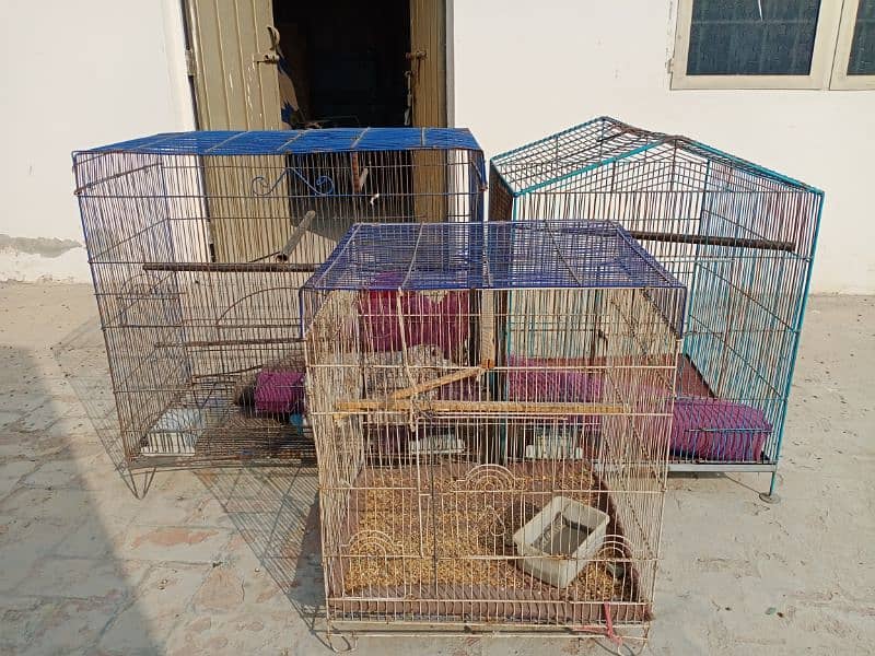 cages for birds in good condition. 4