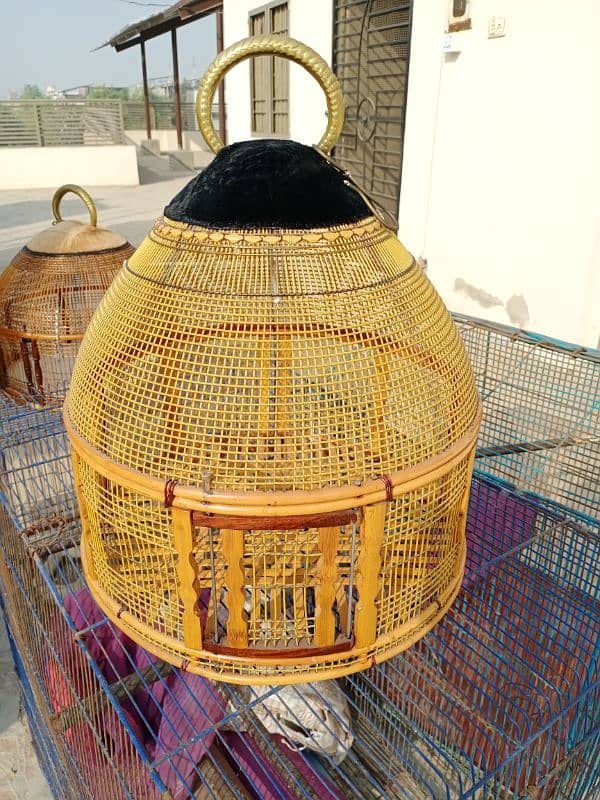 cages for birds in good condition. 7