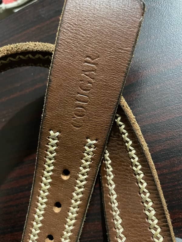 cougar belt original 4