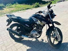 Yamaha YBR 125g