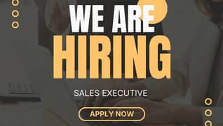 Sales Executive