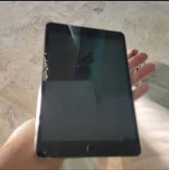 Mini iPad