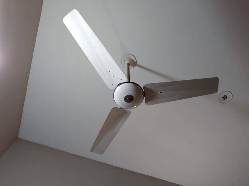 pak fan ceiling fan 0