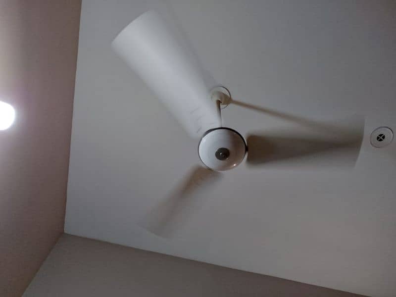 pak fan ceiling fan 1