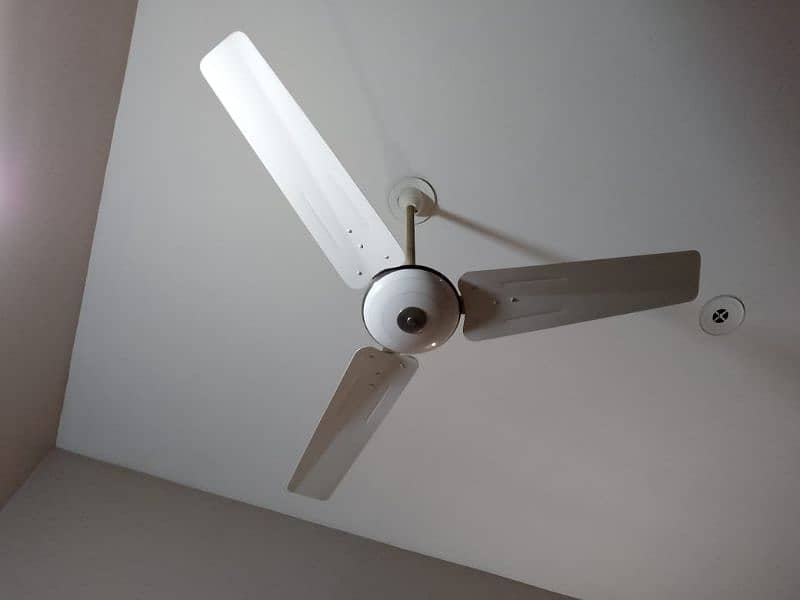 pak fan ceiling fan 2