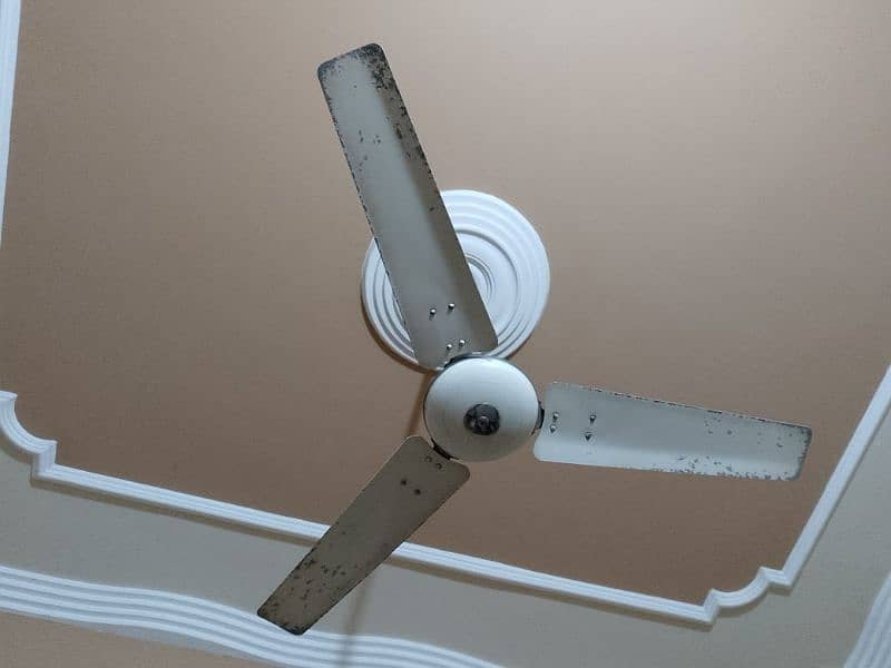 pak fan ceiling fan 3