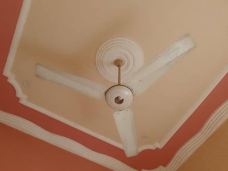 pak fan ceiling fan 4