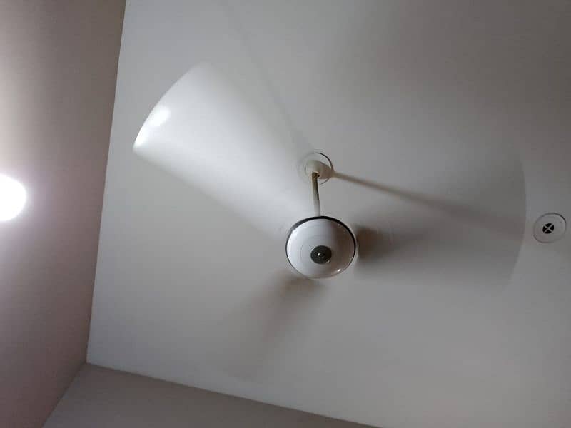 pak fan ceiling fan 5