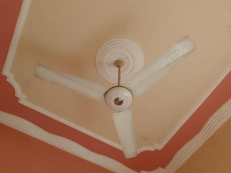 pak fan ceiling fan 7