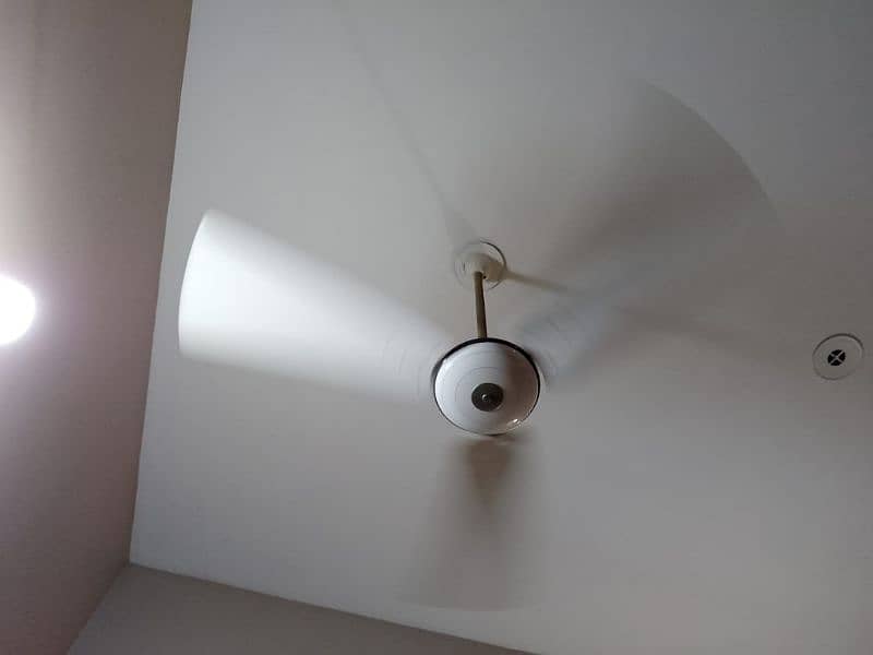 pak fan ceiling fan 8