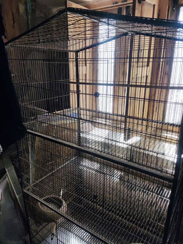 parrot cage 1