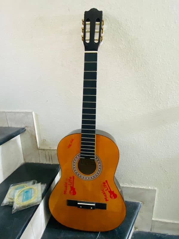 Encore  Guitar 8