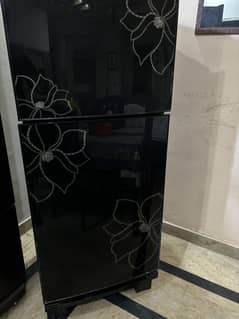 Glass Door Orient - 12CFT Medium size