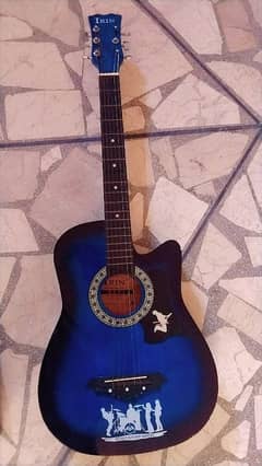 Student Guitar