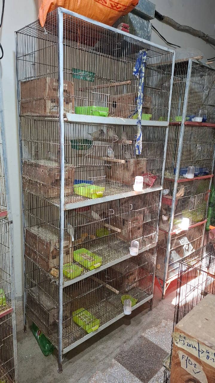 Cage (Pinjra) in Cheap Price 7