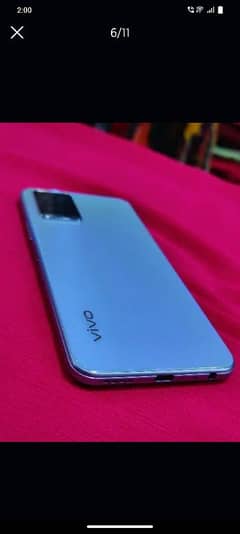 vivo