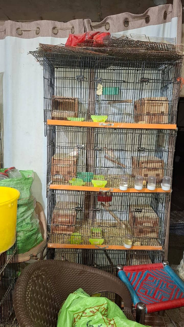 Java and Cages Available 3