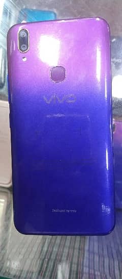 Vivo