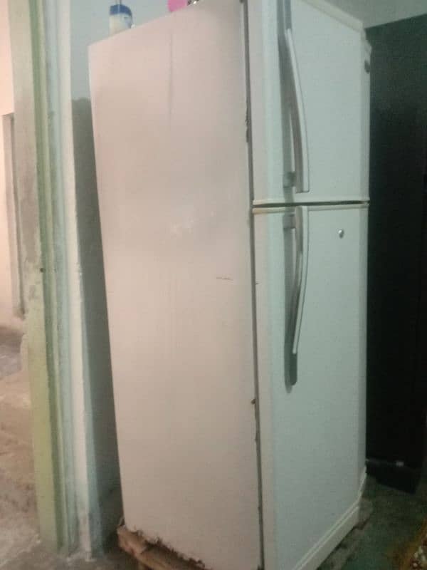 medium size fridge 2