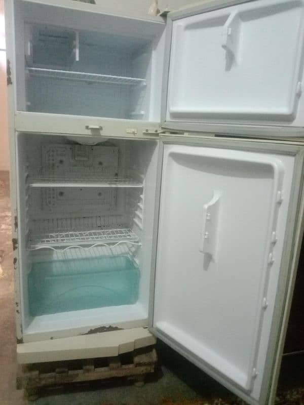 medium size fridge 3