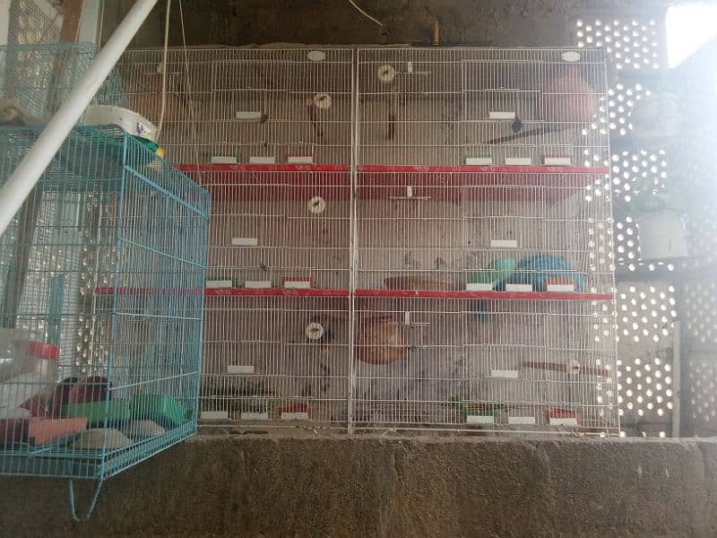 Galvanized cage 3*1.5*1.5 =3 portions 0