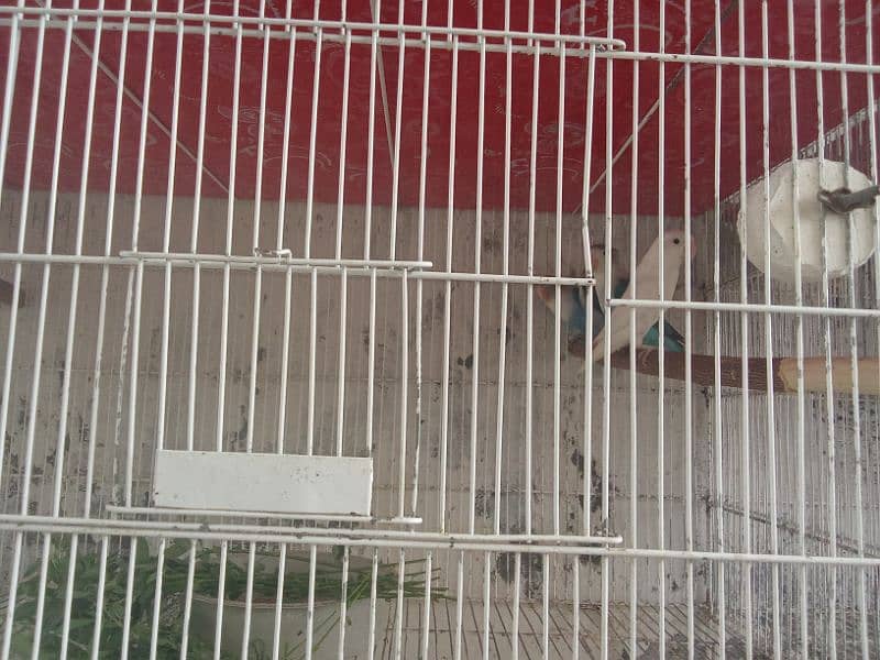 Galvanized cage 3*1.5*1.5 =3 portions 2