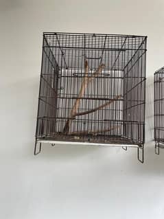 Bird cage for sale