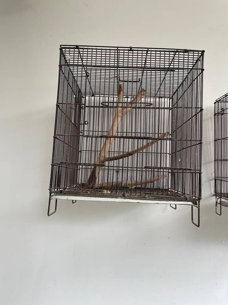 Bird cage for sale 0