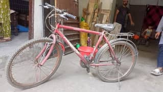 Phoenix Bicycle for Sales 9000