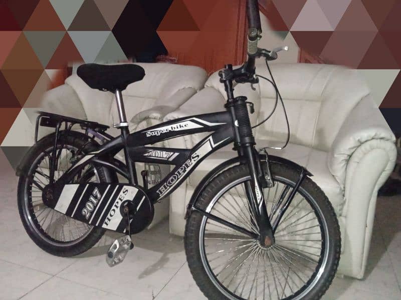 Used Bicycle for sale 1