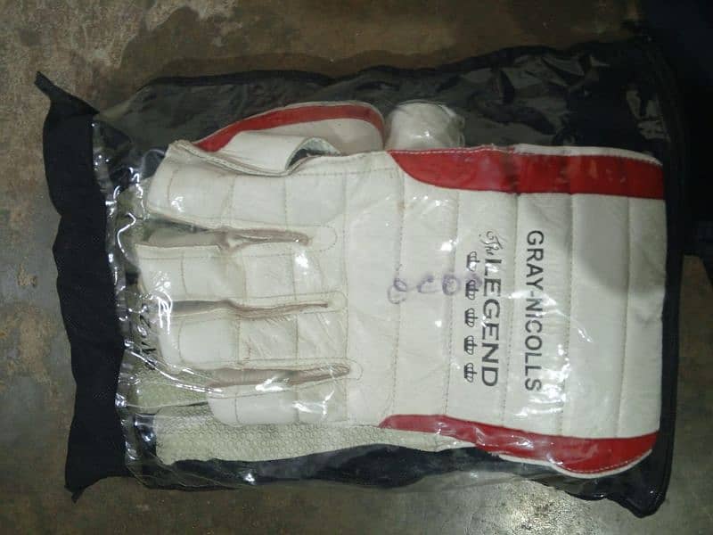 Gray Nicollas wicket keeping gloves 2