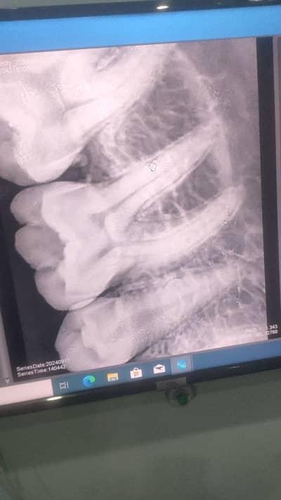 female dentist required