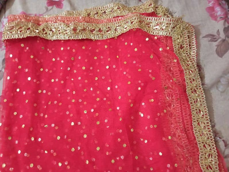 Red Net Dupatta 0