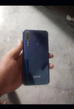 vivo