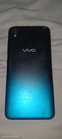 vivo