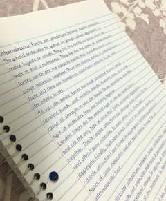 Hand Writting Assignment Work