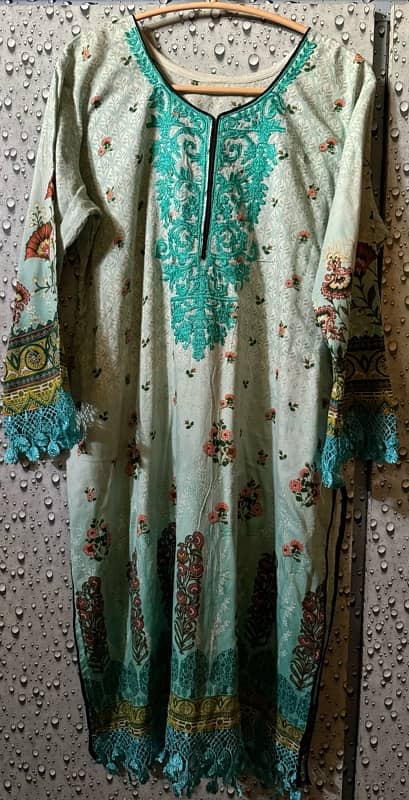 Embroidered Dress 1