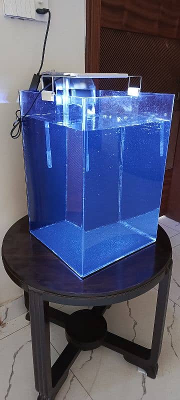 5mm acrylic curved sides aquarium 2