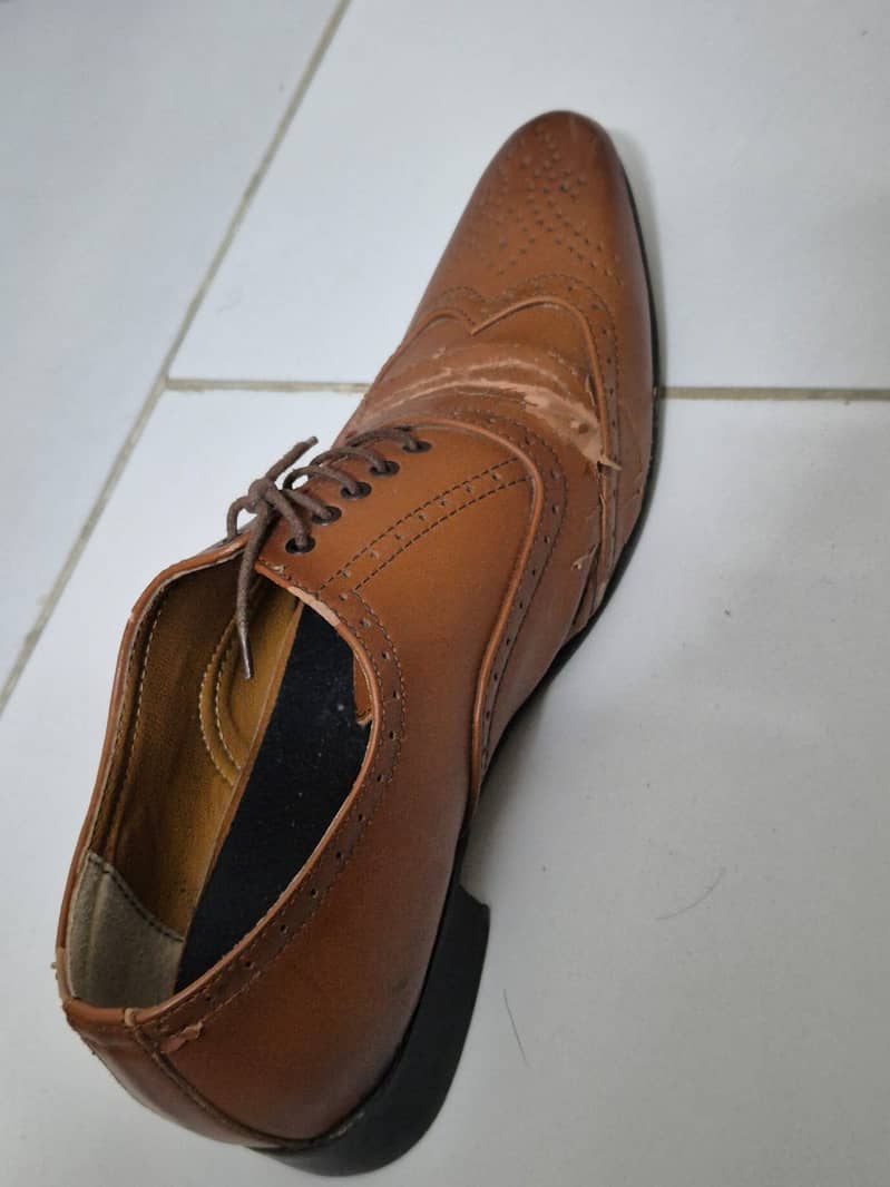 Brown Oxford Shoes for Sale 3