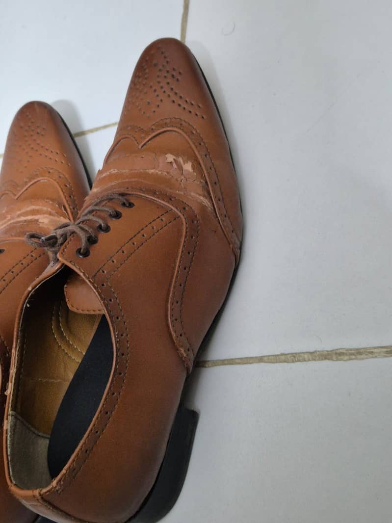 Brown Oxford Shoes for Sale 4